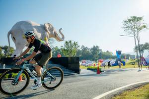 BIB: 
                            <button type="button" onclick="openModal(26183011)" class="btn btn-primary btn-sm float-right btn-popup" data-toggle="modal" data-target=".modal-high-quality">
                        <i class="fas fa-shopping-cart"></i> Add to Cart
                    </button>
                                            <button type="button" onclick="isThisMe(26183011, true)" class="btn btn-success btn-sm float-right btn-popup btn-isme hidden" data-toggle="tooltip" data-placement="bottom" title="นี่คือรูปของคุณใช่ไหม คลิกที่นี่เพื่อเอาเข้าอัลบั้ม">
                        <i class="fas fa-plus"></i> Add to album
                    </button>
                    <button type="button" onclick="isThisMe(26183011, false)" class="btn btn-warning btn-sm float-right btn-popup btn-isnotme hidden">
                        <i class="fas fa-ban"></i> Remove from album
                    </button>